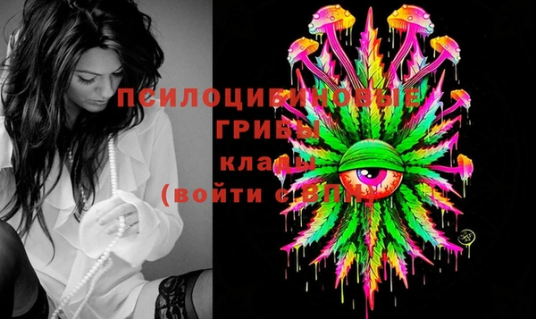 a pvp Алзамай