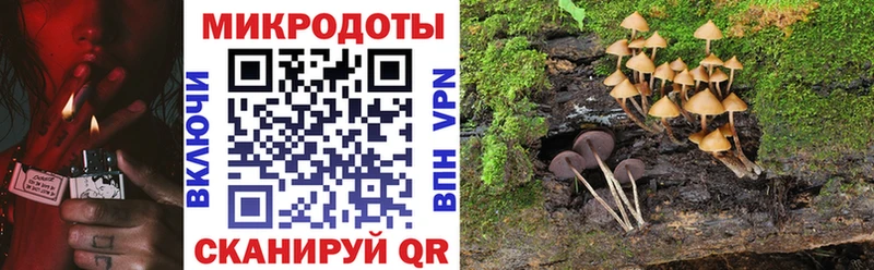 Псилоцибиновые грибы прущие грибы  Жуковка 